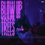 Blow up Trees