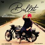 Bullet