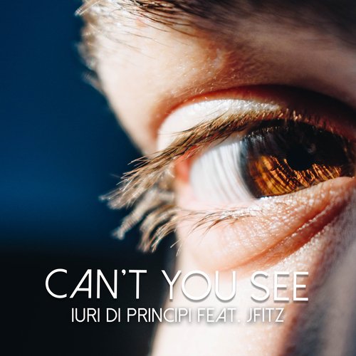 Can&#039;t you see_poster_image