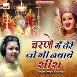 Charno Me Tere Jo Bhi Nawawe Shish