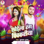Chhodela Rang PichKariya