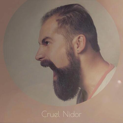 Guitar Locality cover art