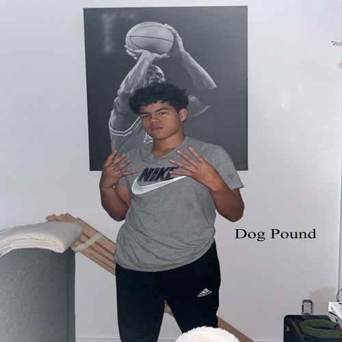Dog Pound