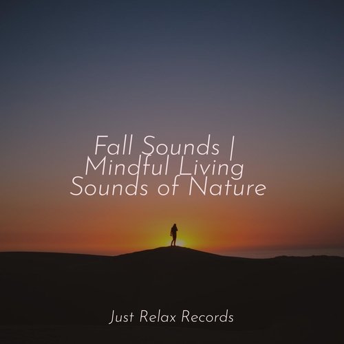 Fall Sounds | Mindful Living Sounds of Nature