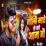 Goli Maare Chhe Sare Aam Ge