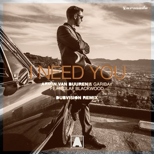 I Need You (DubVision Remix)_poster_image