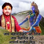 Jai Mahadev Hare O Shiv Jai Mahadev Hare