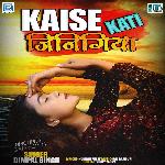 Kaise Kati Jinigiya