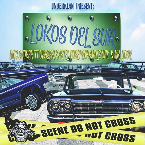 Lokos del Sur (feat. Mr Yosie, Kartel Purepecha, Rulz One & Daser)_poster_image