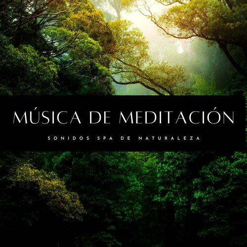 Grillos Y Tonos Nocturnos cover art