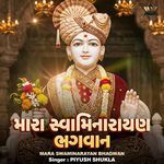 Mara Swaminarayan Bhagwan