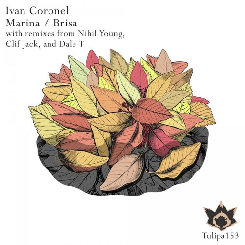 Marina (Nihil Young Remix) cover art