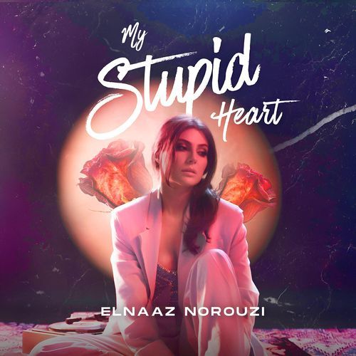 My Stupid Heart