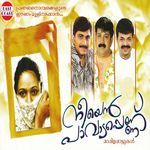 Doore Kannadi Puzha artwork