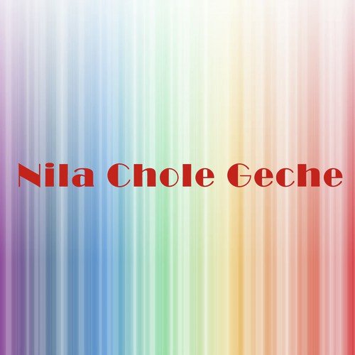 Nila Chole Geche_poster_image