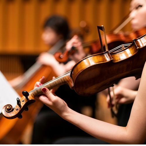 Relaxation Symphony: Soothing Sounds for Serenity