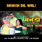 Sanudi Dil Wali