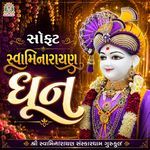 Soft Swaminarayan Dhoon artwork