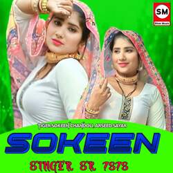 Sokeen Singer SR 7878-XUUHCTdDYXw