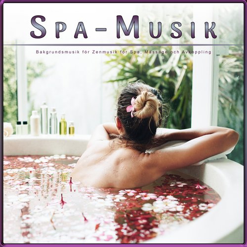 Akupunkturmusik cover art
