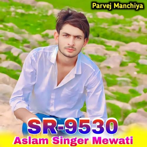 Sr 9530 Aslam Singer Mewati