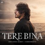 Tere Bina