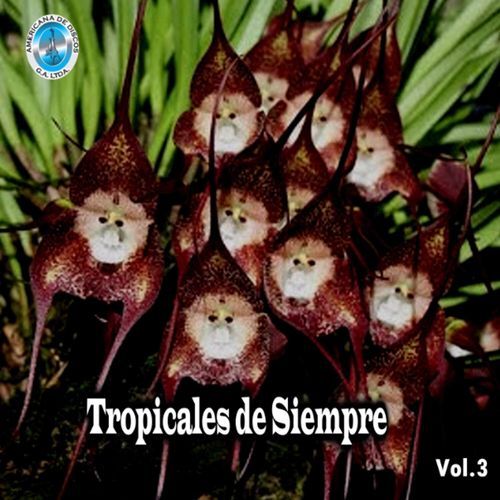 Tropicales De Siempre, Vol. 3