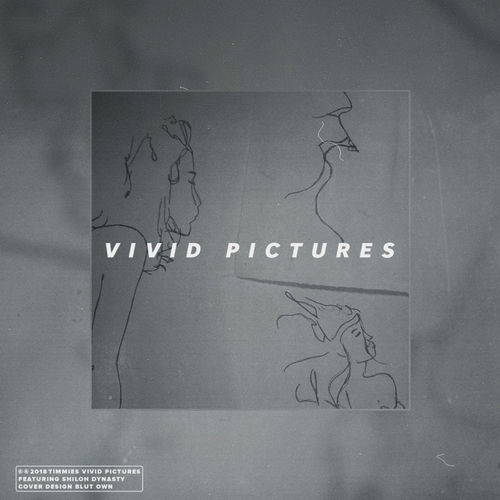 Vivid Pictures_poster_image