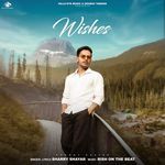 Wishes artwork