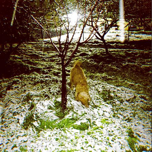 you are sinking in my poem