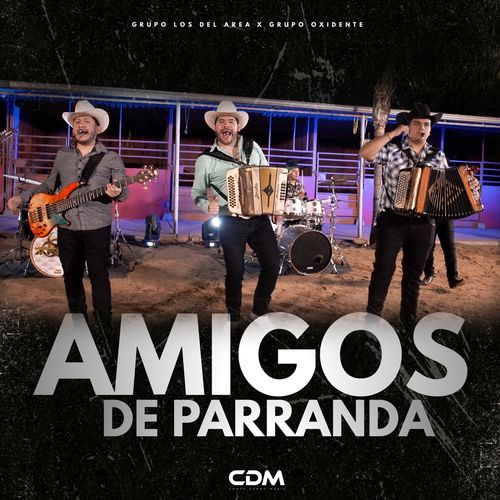 Amigos De Parranda cover art