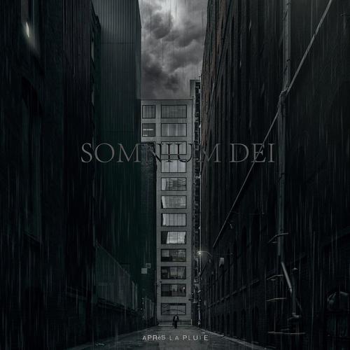 CHAMPS DE FER cover art