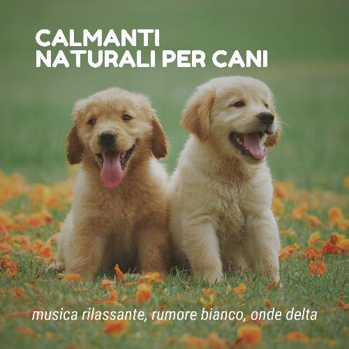 Calma interiore cover art