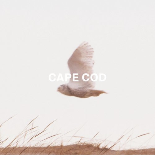 Cape Cod cover art