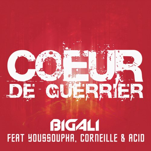 Coeur de guerrier_poster_image