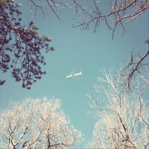Cold Snap cover art