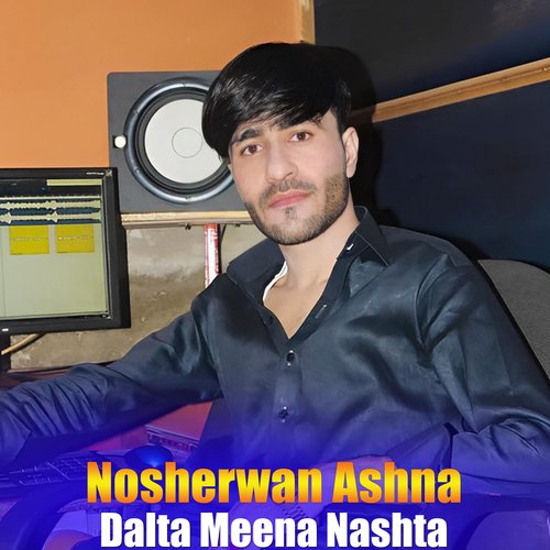 Dalta Meena Nashta