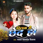 Dilwa Me Chhed Ho