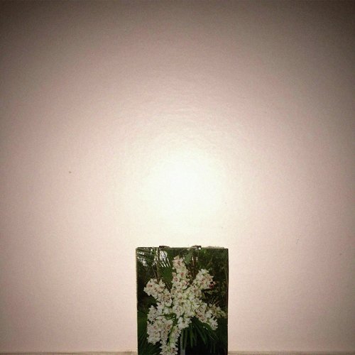 Brendon's Interlude cover art