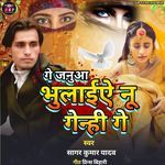 GE JANUAA BHULAIYE NU GENAHI GE