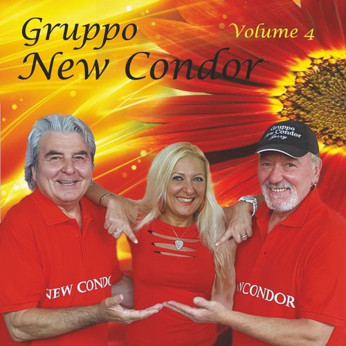 Gruppo New Condor, Vol. 4_poster_image