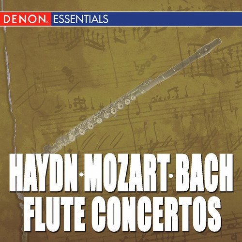 Concerto for Flute and Orchestra No. 1 in D Major: II. Adagio