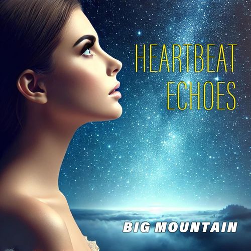 Heartbeat Echoes_poster_image