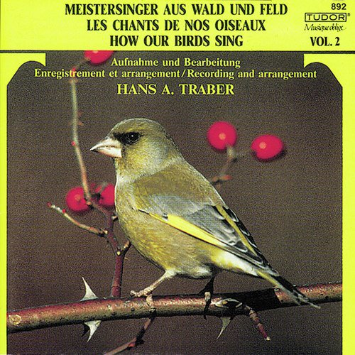 Waldkauz cover art