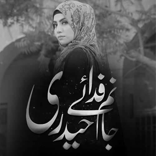 Janam Fida e Haidri_poster_image