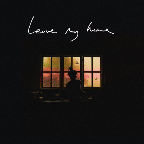 Leave My Home_poster_image