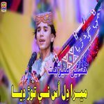 Mera Dil Us Ne Tor Dia