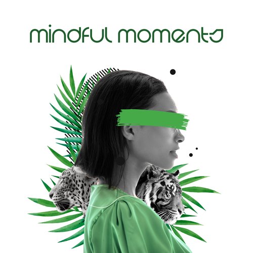 Mindful Moments: Inner Transformation, Atmosphere of Awareness, Holistic Harmony