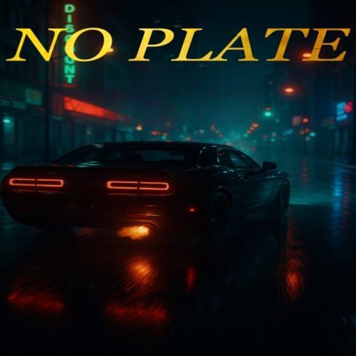 No Plate