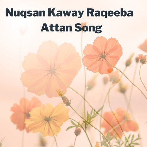 Nuqsan Kaway Raqeeba  Attan Song